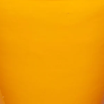 citrus orange